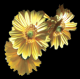 gerbera
