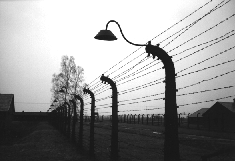 auschwitz-fence2.gif (25524 byte)